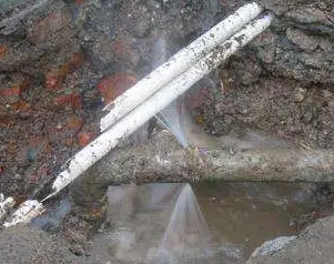 金秀水管维修费用是多少