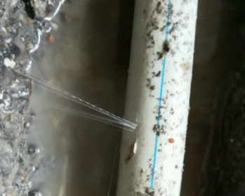 金秀卫生间测漏水多少钱