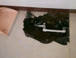 金秀卫生间测漏水多少钱